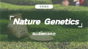 Nature Genetics项目文章|茶树单体型基因组组装揭示茶树的演化史